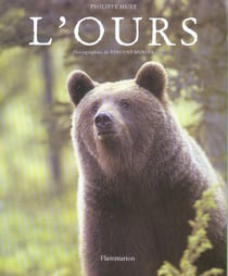 L'ours