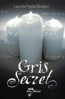 Gris secret Tome 3