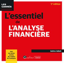 L'essentiel de l'analyse financière : Intègre les règlements de l'ANC de décembre 2023 relatifs à la modernisation des états financiers. Pour une lecture éclairée des comptes de l'entreprise (5e édition)