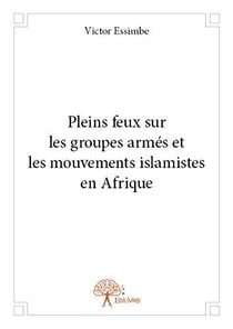 Pleins feux sur les groupes armes et les mouvements islamistes en afrique