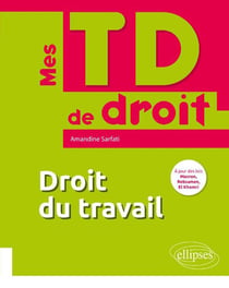 Mes TD de droit : droit du travail