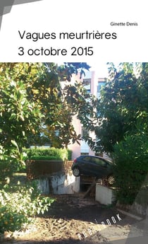 Vagues meurtrières : 3 octobre 2015
