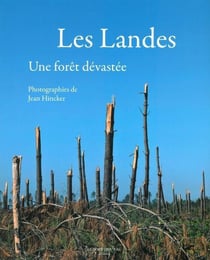 Les Landes - une forêt dévastée