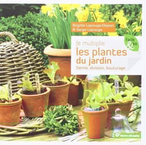 Je multiplie les plantes du jardin - semis, division, bouture