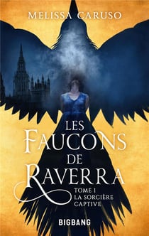 Les faucons de Raverra Tome 1 : la sorcière captive