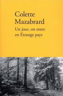 Un jour, on entre en étrange pays