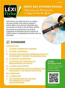 Droit des affaires OHADA : Organisation pour l'harmonisation en Afrique du droit des affaires