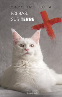Ici-bas, sur Terre