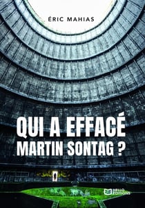 Qui a effacé Martin Sontag ? Une enquête d'Alex Brismontier