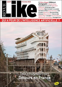 Revue Like n.13 : détours en France : Eric Tabuchi et Nelly Monnier
