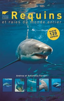 Requins et raies du monde entier