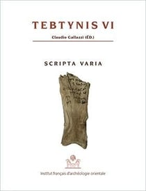 Tebtynis Tome 6 - scripta varia