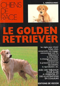 Golden retriever
