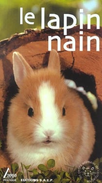 Le lapin nain