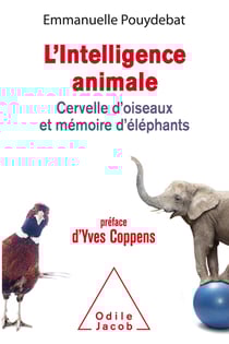 L'intelligence animale - cervelle d'oiseaux et mémoire d'éléphants