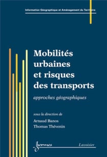 Mobilités urbaines et risques des transports : approches géographiques : Approches géographiques