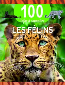100 infos à connaître : Les félins