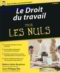Le droit du travail pour les nuls (2e édition)