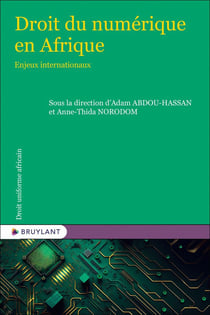 Droit numérique en Afrique : Enjeux internationaux