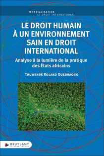 Le droit humain à un environnement sain en droit international : Analyse à la lumière de la pratique