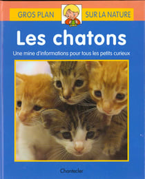 Gros plan sur la nature 13. les chatons