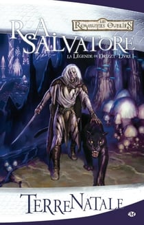 Les Royaumes Oubliés - la légende de Drizzt Tome 1 : terre natale