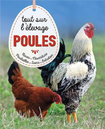 Poules - tout savoir sur l'élevage
