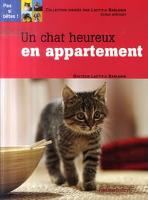 Un chat heureux en appartement