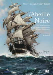 Abeille Noire Ou Les Aventures D'Une Jeune Armoricaine A Saint-Domingue