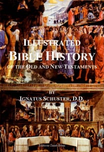 Illustrated Bible history of the old and new testaments
