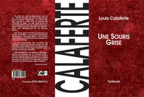 Une souris grise