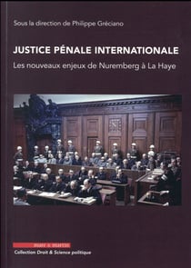 Justice pénale internationale - les nouveaux enjeux de Nuremberg à La Haye