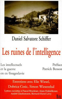 Les ruines de l'intelligence - les intellectuels et la guerre en ex-yougoslavie