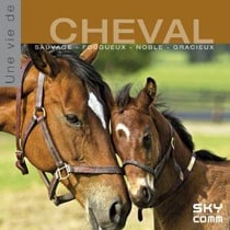 Une vie de cheval