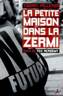 La petite maison dans la zermi - chroniques d'un saisonnier de la misère