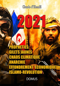 2021 - prophéties : gilets jaunes, chaos climatique, anarchie, effondrement économique, islamo-révolution