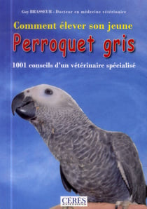 Comment élever son jeune perroquet gris