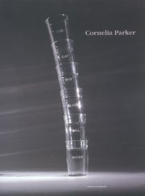 Cornelia parker/a la reflexion