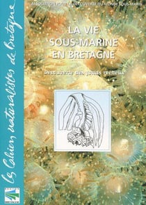 La vie sous-marine en bretagne - découverte des fonds rocheux