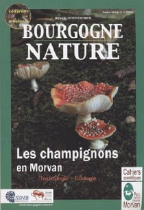 Les champignons du Morvan