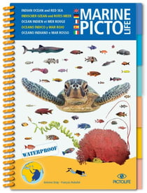 Marine Pictolife : Océan indien