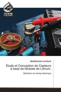 Etude et Conception de Capteurs A base de Niobate de Lithium. : Detection du champ electrique