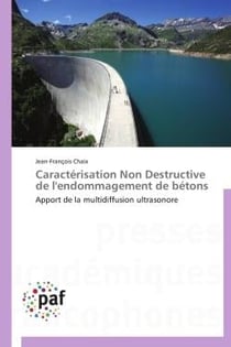 Caractérisation non destructive de l'endommagement de bétons