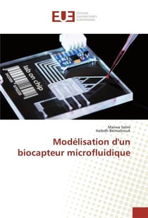 Modelisation d'un biocapteur microfluidique