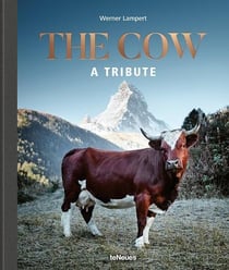 The cow - a tribute