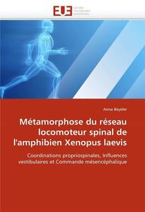 Metamorphose du reseau locomoteur spinal de l'amphibien xenopus laevis