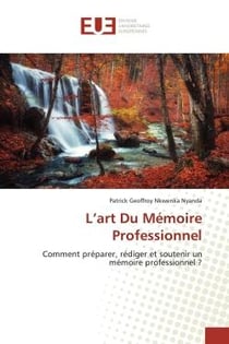 L'art Du Mémoire Professionnel