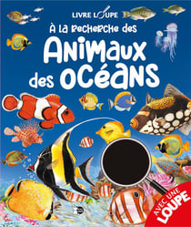 À la recherche des animaux des océans