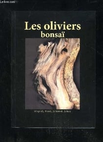 Les oliviers : bonsaï
