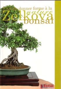 Zelkova bonsai - l'art de donner forme à la nature